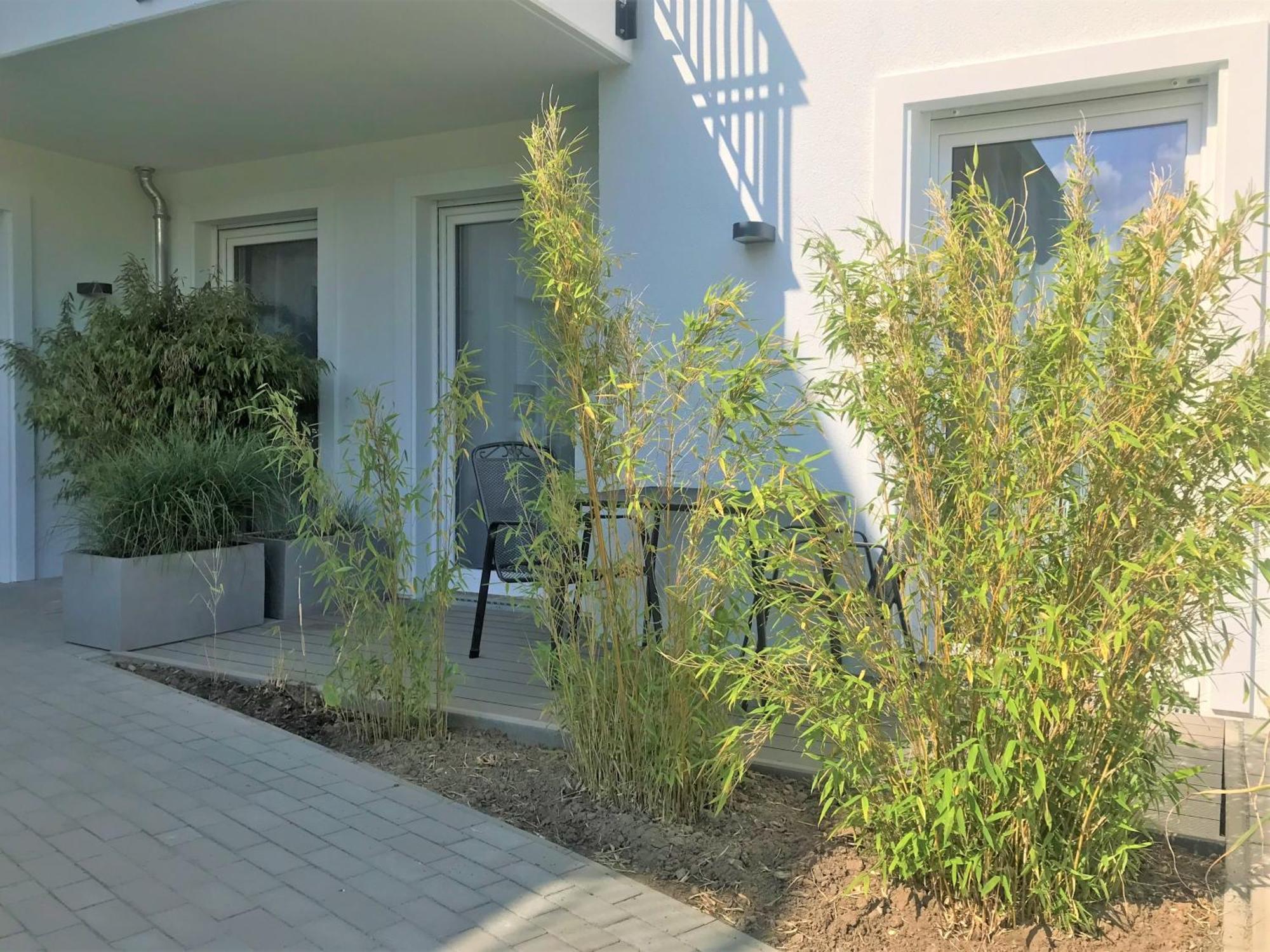 App 6, Strandresidenz Duenenperle Ostseebad Kühlungsborn Εξωτερικό φωτογραφία